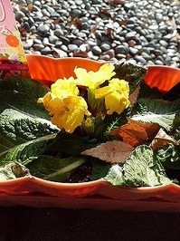 t2014.1.17 2.jpg